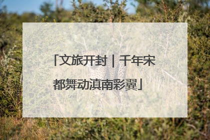 文旅开封｜千年宋都舞动滇南彩翼