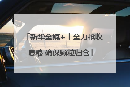 新华全媒+丨全力抢收夏粮 确保颗粒归仓