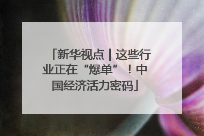 新华视点｜这些行业正在“爆单”！中国经济活力密码