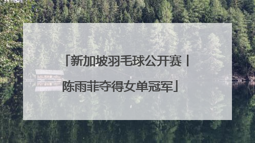 新加坡羽毛球公开赛丨陈雨菲夺得女单冠军