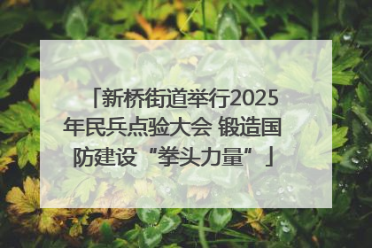 新桥街道举行2025年民兵点验大会 锻造国防建设“拳头力量”