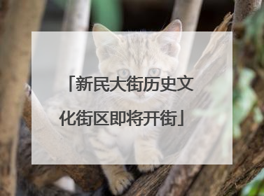 新民大街历史文化街区即将开街