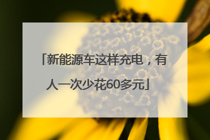 新能源车这样充电，有人一次少花60多元