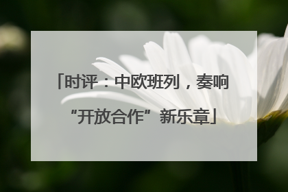 时评：中欧班列，奏响“开放合作”新乐章