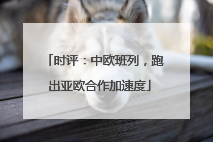 时评：中欧班列，跑出亚欧合作加速度