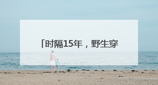 时隔15年，野生穿山甲再现湖南桂东