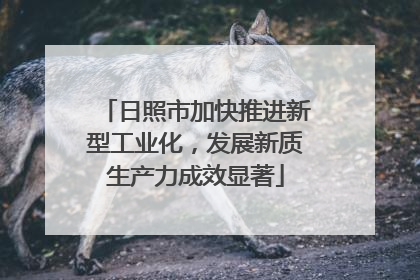 日照市加快推进新型工业化，发展新质生产力成效显著