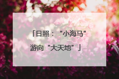 日照：“小海马”游向“大天地”
