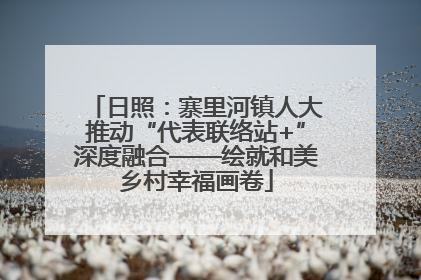 日照：寨里河镇人大推动“代表联络站+”深度融合——绘就和美乡村幸福画卷