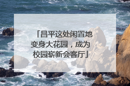 昌平这处闲置地变身大花园，成为校园崭新会客厅