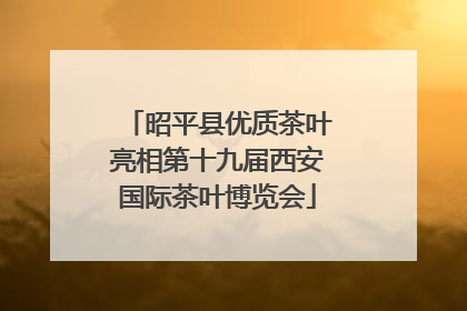 昭平县优质茶叶亮相第十九届西安国际茶叶博览会