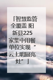 智慧监管全覆盖 阳新县225家集中用餐单位实现“云上明厨亮灶”