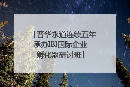 普华永道连续五年承办IBI国际企业孵化器研讨班
