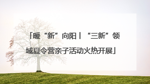暖“新”向阳丨“三新”领域夏令营亲子活动火热开展