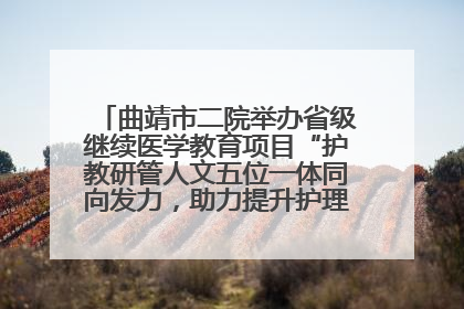 曲靖市二院举办省级继续医学教育项目“护教研管人文五位一体同向发力，助力提升护理效能学习班”