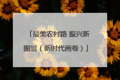 最美农村路 振兴新图景（新时代画卷）