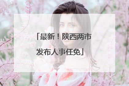 最新！陕西两市发布人事任免
