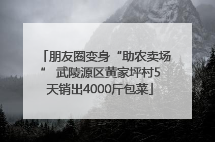朋友圈变身“助农卖场” 武陵源区黄家坪村5天销出4000斤包菜