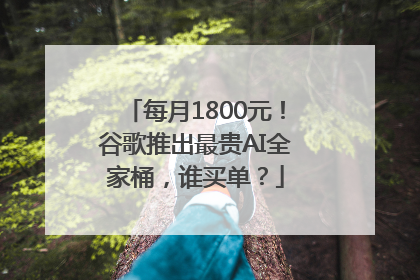 每月1800元！谷歌推出最贵AI全家桶，谁买单？