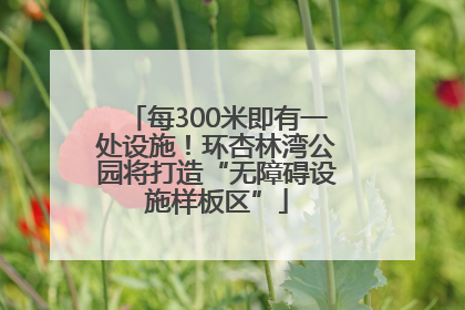 每300米即有一处设施！环杏林湾公园将打造“无障碍设施样板区”