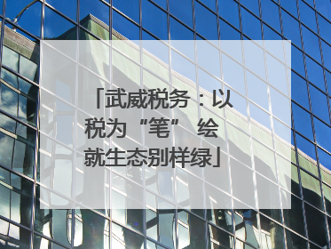 武威税务：以税为“笔” 绘就生态别样绿