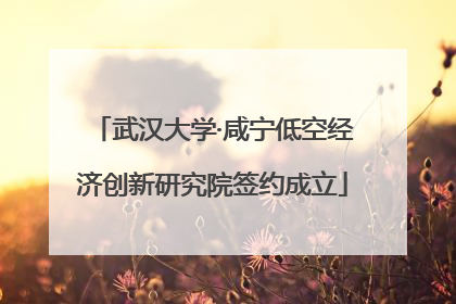 武汉大学·咸宁低空经济创新研究院签约成立