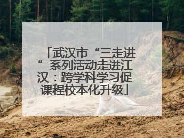 武汉市“三走进”系列活动走进江汉：跨学科学习促课程校本化升级