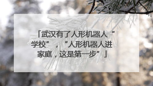 武汉有了人形机器人“学校”，“人形机器人进家庭，这是第一步”