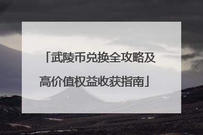 武陵币兑换全攻略及高价值权益收获指南