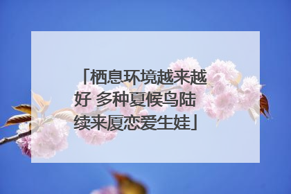 栖息环境越来越好 多种夏候鸟陆续来厦恋爱生娃