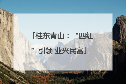桂东青山：“四红”引领 业兴民富