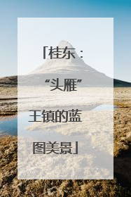 桂东：“头雁”王镇的蓝图美景