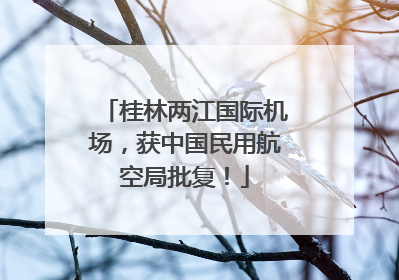 桂林两江国际机场，获中国民用航空局批复！