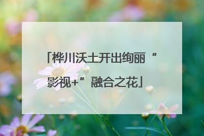 桦川沃土开出绚丽“影视+”融合之花