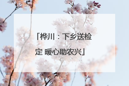 桦川：下乡送检定 暖心助农兴