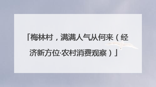 梅林村，满满人气从何来（经济新方位·农村消费观察）