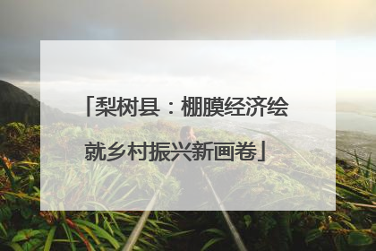梨树县：棚膜经济绘就乡村振兴新画卷