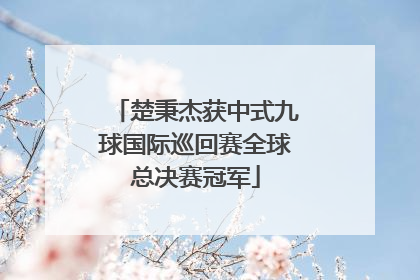 楚秉杰获中式九球国际巡回赛全球总决赛冠军