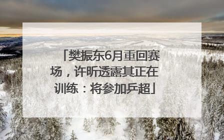 樊振东6月重回赛场，许昕透露其正在训练：将参加乒超