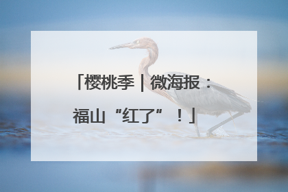 樱桃季｜微海报：福山“红了”！