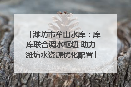 潍坊市牟山水库：库库联合调水枢纽 助力潍坊水资源优化配置