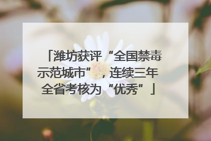 潍坊获评“全国禁毒示范城市”，连续三年全省考核为“优秀”