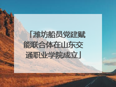 潍坊船员党建赋能联合体在山东交通职业学院成立