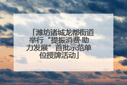 潍坊诸城龙都街道举行“提振消费·助力发展”首批示范单位授牌活动
