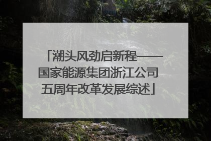潮头风劲启新程——国家能源集团浙江公司五周年改革发展综述