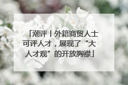 潮评丨外籍商贸人士可评人才，展现了“大人才观”的开放胸襟