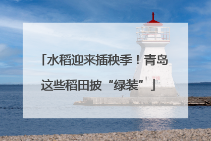 水稻迎来插秧季！青岛这些稻田披“绿装”