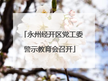 永州经开区党工委警示教育会召开