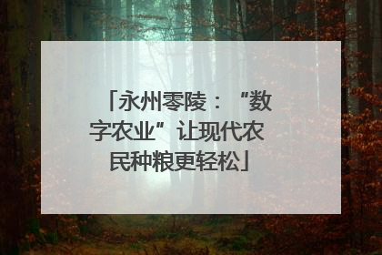 永州零陵：“数字农业”让现代农民种粮更轻松