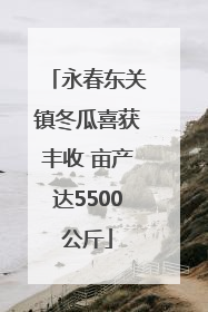 永春东关镇冬瓜喜获丰收 亩产达5500公斤